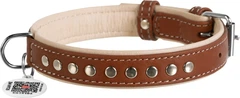 Нашийник для собак шкіряний Collar WAUDOG Soft з QR паспортом, металічні прикраси, S, Ш 20 мм, Дов 30-39 см (7197)