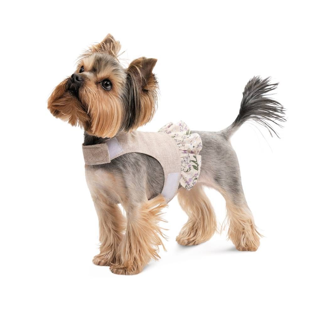 Шлея для собак Pet Fashion Nika XS-2 XS2