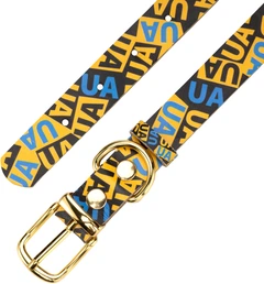 Нашийник шкіряний Hi Dog Молодіжний розмір L ширина 25 мм 38 - 49 см (2100103521018)
