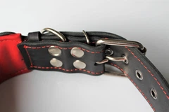 Нашийник для собаки шкіряний із заклепками Lockdog, Д 30-40 см, Ш 6 см (ld132_M)