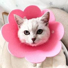Xtep Комір-нашийник "для загоєння ран" для собак та кішок Pink Flower Size M