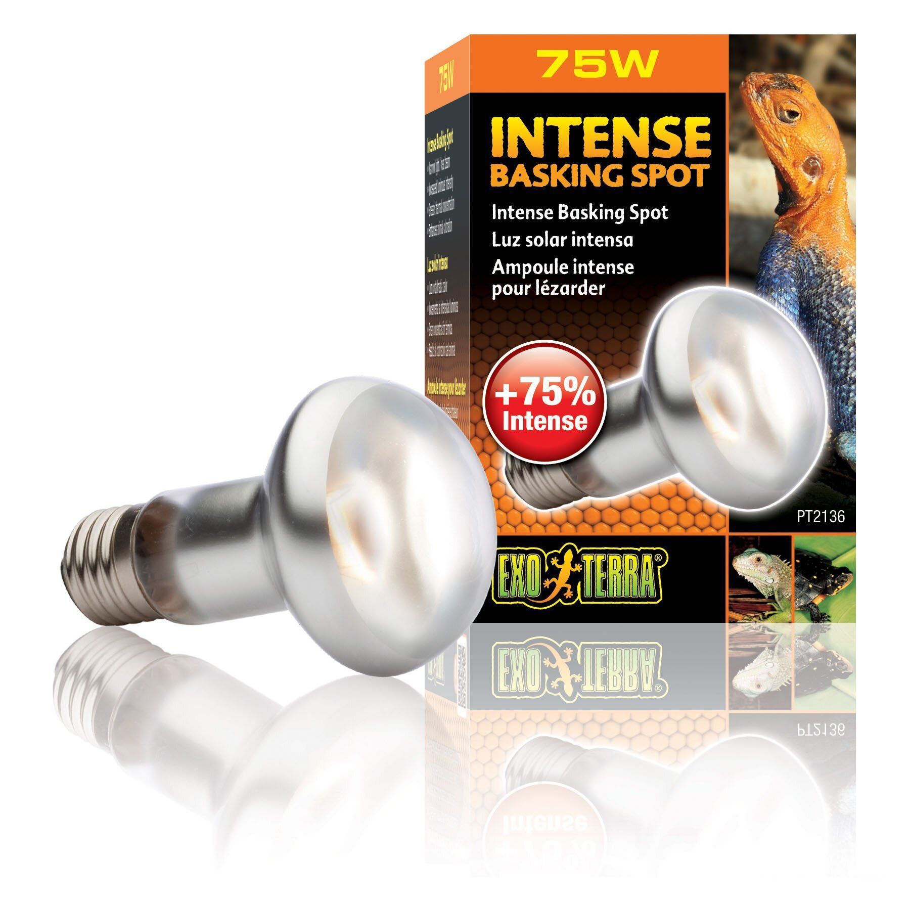 Рефлекторна лампа розжарювання Exo Terra «Intense Basking Spot» 75 W, E27 (для обігріву)