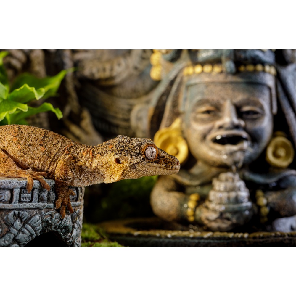 Поїлка водоспад для тераріума Exo Terra Aztec Sacred Maize з помпою 400 мл