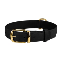 Нашийник для Собак Шкіряний BronzeDog Crazy Чорний 2XS 10 мм 19-25 см (00421)