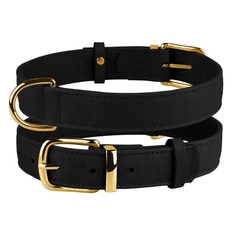Нашийник для Собак Шкіряний BronzeDog Crazy Чорний 2XS 10 мм 19-25 см (00421)