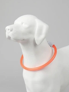 Універсальний світлодіодний LED нашийник з підсвічуванням для собак з USB зарядкою Trox TR-70 Помаранчевий