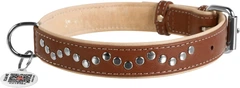 Нашийник для собак шкіряний Collar WAUDOG Soft з QR паспортом, металічні прикраси, M, Ш 25 мм, Дов 38-49 см (7207)