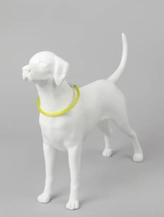 Універсальний світлодіодний LED нашийник з підсвічуванням для собак з USB зарядкою Trox TR-70 Жовтий