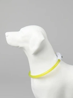 Універсальний світлодіодний LED нашийник з підсвічуванням для собак з USB зарядкою Trox TR-70 Жовтий
