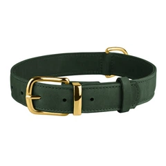 Нашийник для Собак Шкіряний BronzeDog Crazy Зелений 2XS 10 мм 19-25 см (00425)