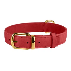 Нашийник для Собак Шкіряний BronzeDog Crazy Червоний 2XS 10 мм 19-25 см (00423)