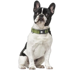 Нашийник для собак бавовняна тасьма CoLLaR Брезент, пластиковий фастекс, розмір M, 33-49 см 25 мм (9933)