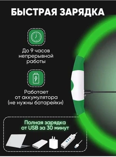 Grand Нашийник для собак, що світиться колір Зелений розмір 35 см