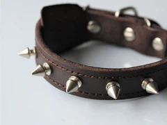 Нашийник для собаки шкіряний з шипами Lockdog, Д 19-29 см, Ш 2 см (ld119_S)