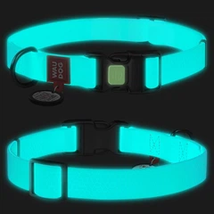 Нашийник для собак WAUDOG Waterproof з QR паспортом, водостійкий, пластикова пряжка-фастекс із замком, S, 25-35 см 15 мм Ментоловий (Світиться у темряві!) (2744)