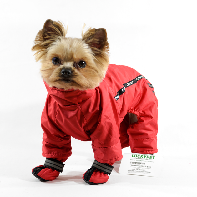 Lucky Pet Комбінезон Фокс червоний L №1, 29 х 46 см