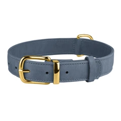 Нашийник для Собак Шкіряний BronzeDog Crazy Блакитний S 15 мм 27-36 см (004322)