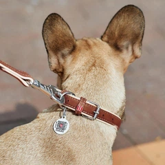 Collar Нашийник для собак шкіряний WAUDOG Soft з QR паспортом, Ш 20 мм, Довжина 30-39 см коричневий