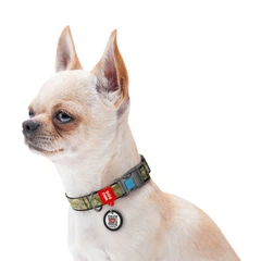 Нашийник для собак нейлоновий WAUDOG Nylon з QR-паспортом, малюнок "Мілітарі", пластиковий фастекс, розмір S, 25-35 см 15 мм (280-4026)