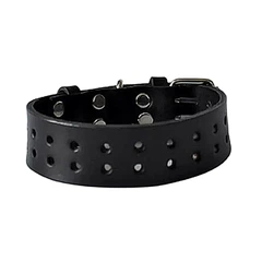 Нашийник для собаки шкіряний Lockdog, Д 41-51 см, Ш 3 см (ld0260_L)