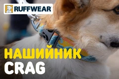 Світловідбиваючий нашийник для собаки Ruffwear Crag™ 51-66 см Оранжево-блакитний