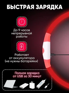 Grand Нашийник для собак USB що світиться колір Червоний 35 см