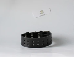 Нашийник з натуральної шкіри Lockdog L(45-55 см) (zoo0005331)