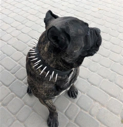 Захисний шкіряний нашийник ручної роботи Lockdog L(45-55 см) (zoo0005339)