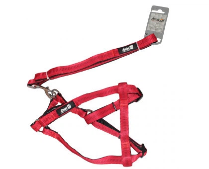 Шлея з повідцем AnimAll для собак HJ-LH 254 Red 15х1200х15мм+33/50см