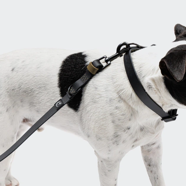 Біотановий повідець вільні руки для собак Cloud7 Hands-Free-Leash Ipanema Чорний 1,6 - 2,6 м One Size (4015988)
