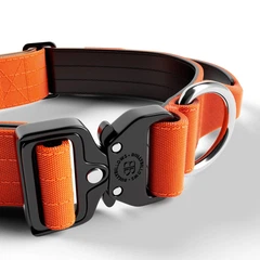 Тактичний нашийник з ручкою для собак BullyBillows Combat Collar Handle 4 cm S: 40 мм, ОШ 40-50 см Помаранчевий