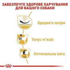 Royal Canin Корм з куркою для дорослих собак