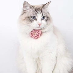 Стильний нашийник для кішок Kitty, прикрашений милою квіткою, Рожевий (184-PINK)