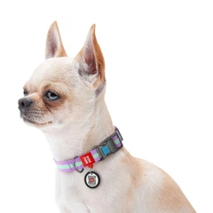 Collar Нашийник для собак нейлоновий WAUDOG Nylon з QR паспортом, Ш 20 мм, Довжина 28-40 см фіолетовий
