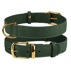 Нашийник для Собак Шкіряний BronzeDog Crazy Зелений XL 30 мм 46-60 см (00465)