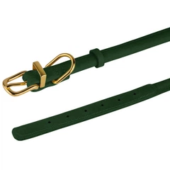 Нашийник для Собак Круглий Шкіряний BronzeDog Premium Crazy Зелений L 11 мм 38-48 см (002505)