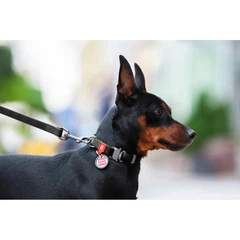 Collar Нашийник для собак водостійкий WAUDOG c QR паспортом, Ш 25 мм, Довжина 34-49 см, чорний