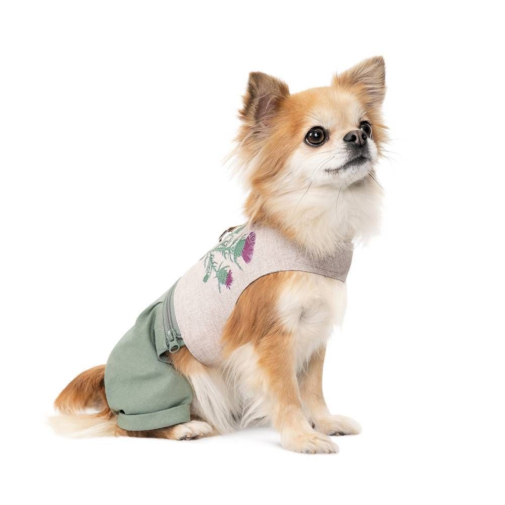 Шлея-костюм для собак Pet Fashion Patrik XS