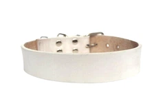Нашийник шкіряний Lockdog L(45-55 см) 000272146