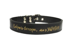 Нашийник шкіряний Lockdog XL(56-70 см) 000272141