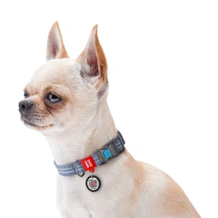 Ошейник світловідбивний Collar WAUDOG Re-cotton з QR-паспортом 23-35 см/15 мм (синій)