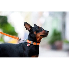 Collar Нашийник для собак водостійкий WAUDOG c QR паспортом, Ш 25 мм, Довжина 34-49 см, помаранчевий