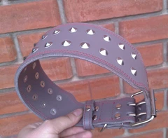 Нашийник для собаки шкіряний з шипами Lockdog, Д 41-51 см, Ш 6 см (ld093_L)
