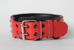 Нашийник з повідцем для собаки шкіряний з шипами Lockdog, Д 30-40 см, Ш 7 см (ld062_M)