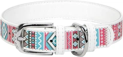 Нашийник для собак шкіряний Collar WAUDOG Design з QR паспортом, малюнок "Етно", L, Ш 25 мм, Дов 38-49 см (377615)