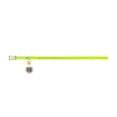 Без бренда Ошейник WAUCAT Glamour с резинкой, клеевыми стразами, для котов (ширина 9мм, длина 22-30см) салатовый