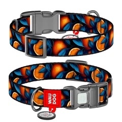 Нашийник WAUDOG Nylon з QR адресником, пластикова пряжка-фастекс "Апельсин" S (4823089375595)A