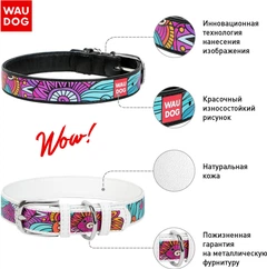 Нашийник для собак шкіряний WAUDOG Design з QR паспортом малюнок "Етно" Ш 20 мм Дов 29-38 см (37751Collar)