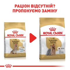 Royal Canin Корм з куркою для літніх собак