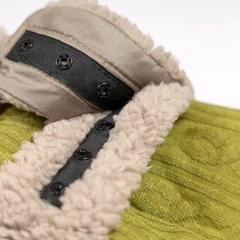 Попона Pet Fashion Gigi для собак ХХS Фісташковий Бежевий (4823082442928)